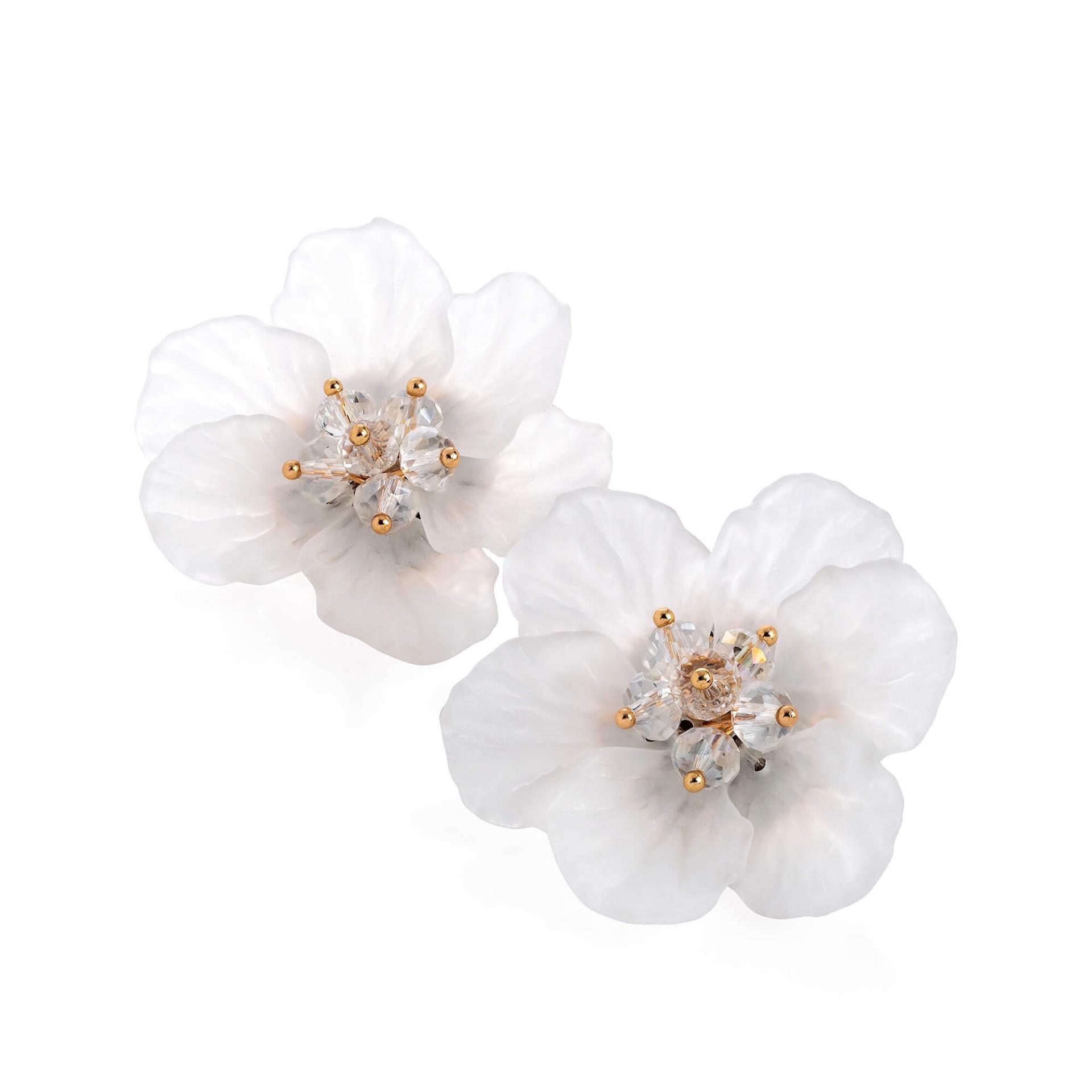 Paire de puce blanche image 2019